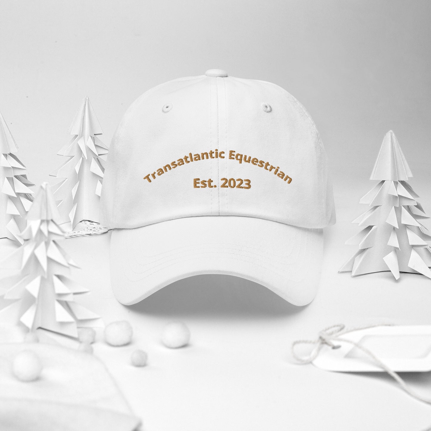 Transatlantic EQ Dad hat